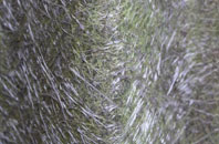 Gainsford End fibreglass roof work